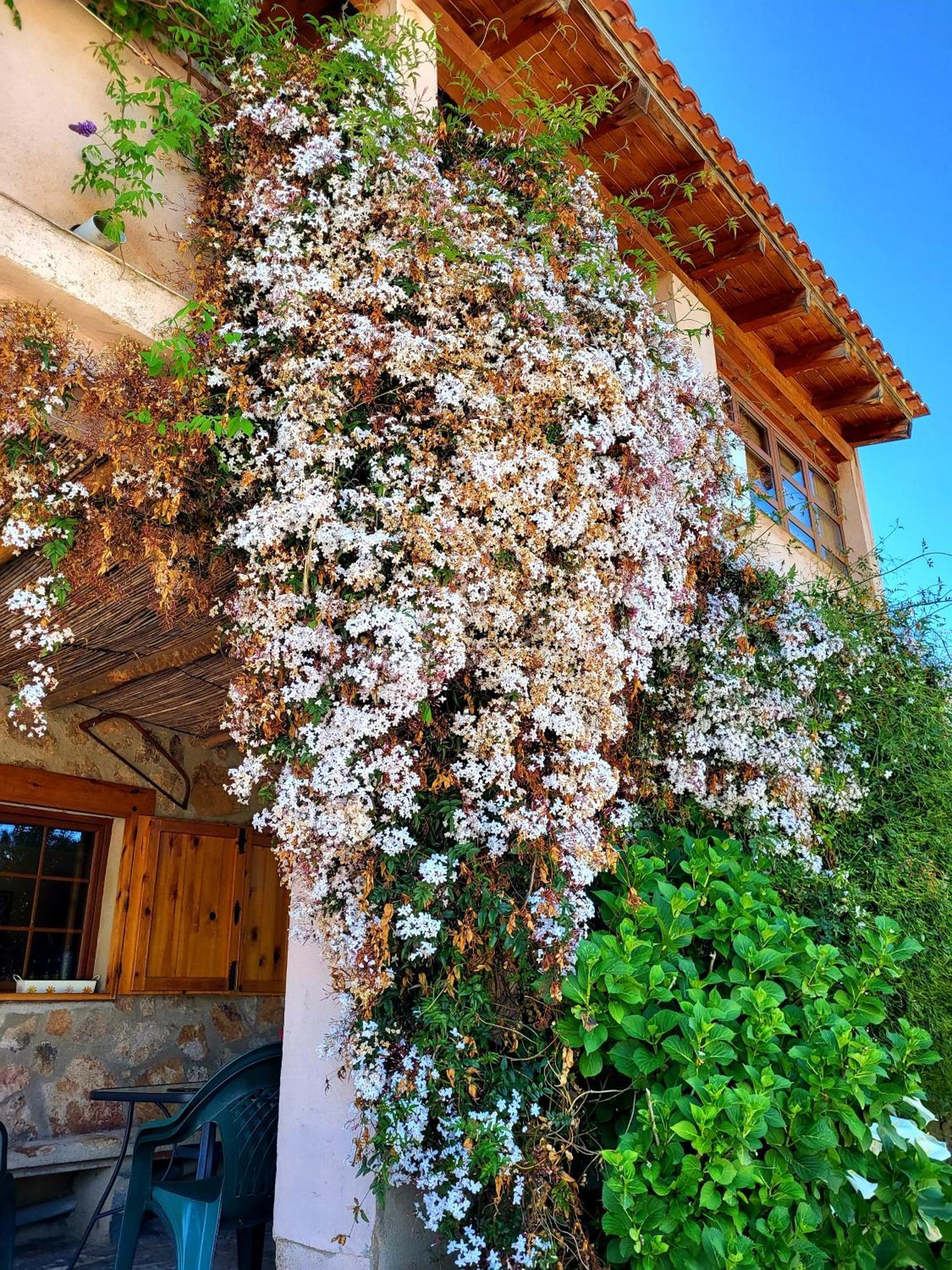 Casa Rural Balcon Del Camino Viejo Valencia de Alcántara Exteriér fotografie